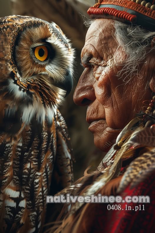 Wisdom of the Silent Sky Canvas