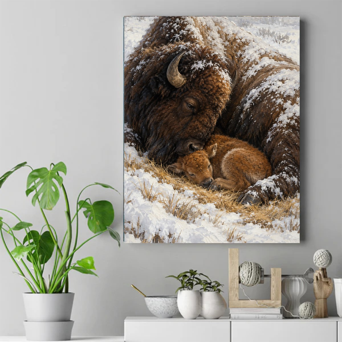 Adult bison curled around a sleeping calf in the snow, snow on her back, dry grass beneath them – ảnh 2